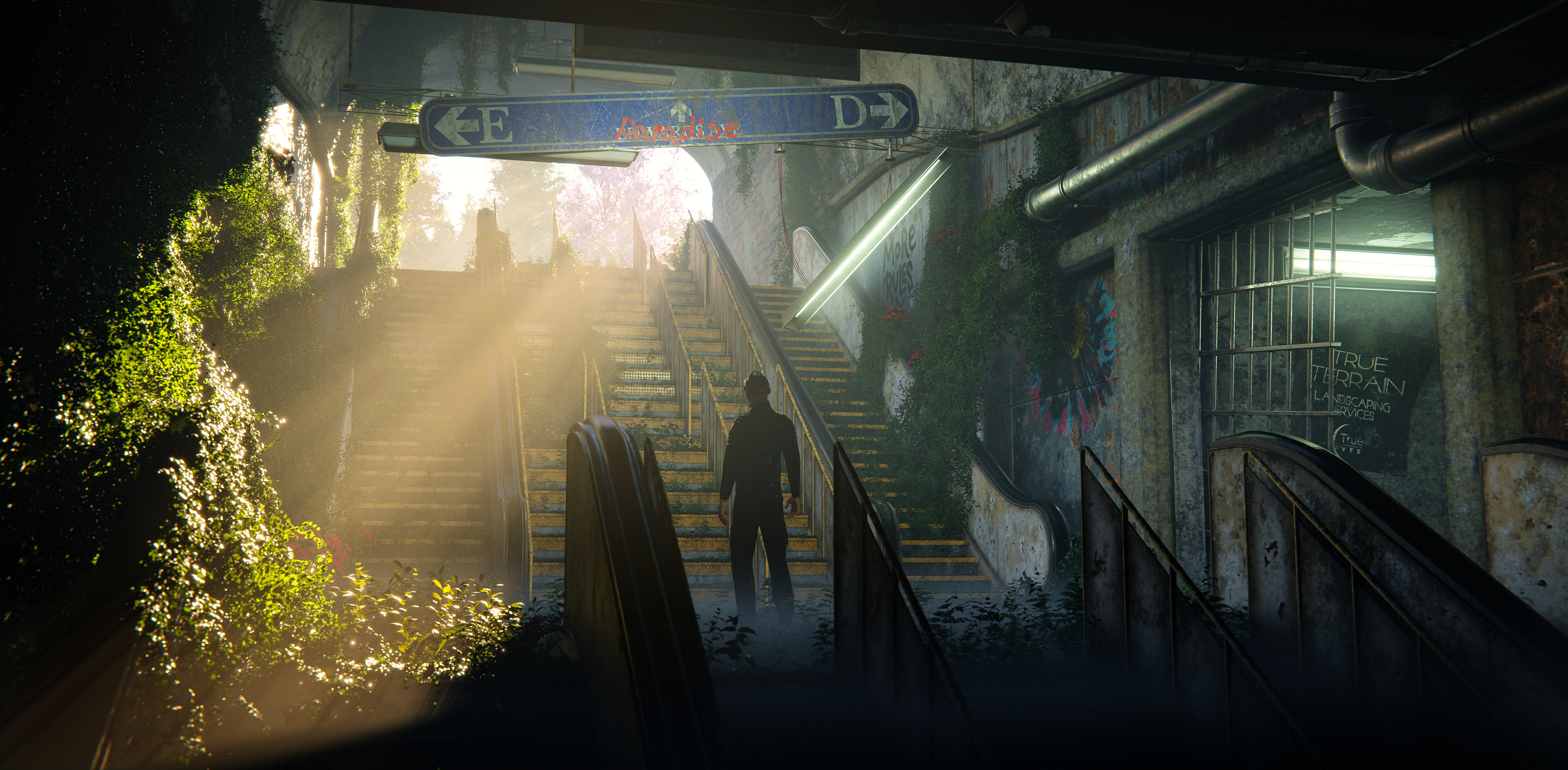 Second Entry by QuinnVB